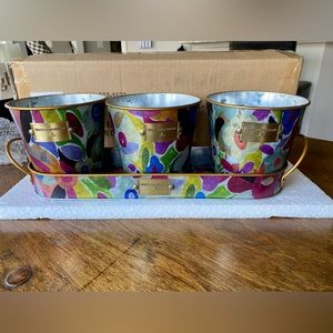 Mackenzie Childs Avant Garden Herb Pots and Tray NIB